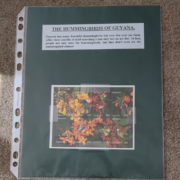 Hummingbirds of Guyana Home Design Stamp Set - Picture 1 of 3